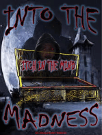Into The Madness: Into The Madness, #1