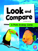 Look and Compare: A Photo Analogy Game