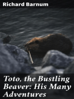Toto, the Bustling Beaver
