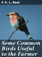 Some Common Birds Useful to the Farmer