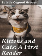 Kittens and Cats