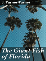 The Giant Fish of Florida