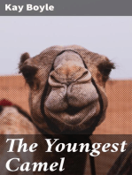 The Youngest Camel