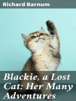 Blackie, a Lost Cat