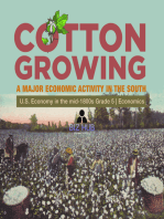 Cotton Growing 