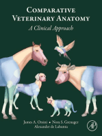 Comparative Veterinary Anatomy: A Clinical Approach