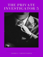 The Private Investigator 5: The Private Investigator, #5