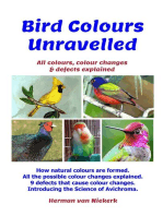 Bird Colours Unravelled