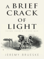 A Brief Crack of Light: Poems from a Young Man
