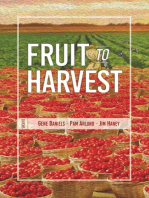 Fruit to Harvest: Witness of God's Great Work among Muslims