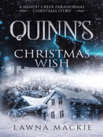 Quinn's Christmas Wish