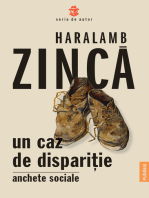 Un caz de dispariție. Anchete sociale