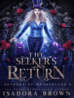 The Seeker's Return