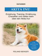 Akita Inu: Erziehung, Training, Ernährung, Charakter und vieles mehr über den Akita Inu