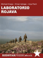 Laboratorio Rojava: Confederalismo democratico, ecologia radicale e liberazione delle donne nella terra della rivoluzione