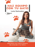 Haz equipo con tu gato