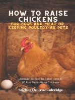 How To Raise Backyard Chickens For Eggs And Meat Or, Keeping Poultry As Pets Discover 10 Quick Tips On Raising Hens And 20 Fun Facts About Chickens: Raising Chickens