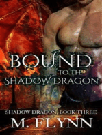 Bound to the Shadow Dragon: Shadow Dragon Book 3 (Dragon Shifter Romance)