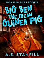 Big Ben The Mean Guinea Pig