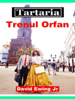 Tartaria - Trenul Orfan