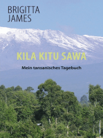 Kila Kitu Sawa: Mein tansanisches Tagebuch