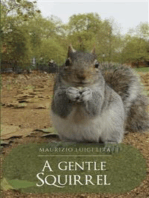 A Gentle Squirrel