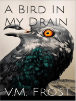 A Bird in my Drain