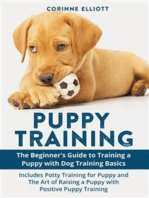 Puppy Training