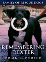 Remembering Dexter