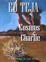 Cosmos Charlie: Southwest Surreal, #2