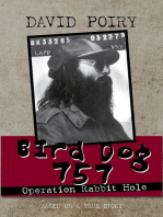 Bird Dog 757: Operation Rabbit Hole