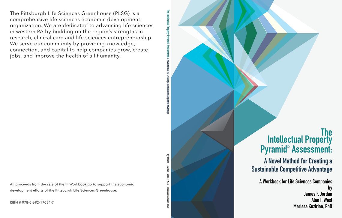 The Intellectual Property Pyramid Assessment: by James F Jordan, Alan I ...