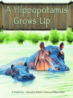 A Hippopotamus Grows Up