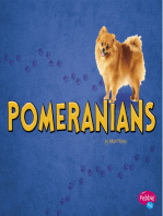 Pomeranians