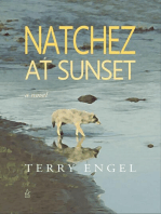 Natchez at Sunset