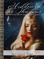 Hidden in the Shadows: Mortain and Bedwyr Trilogy Book One