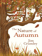 The Nature of Autumn