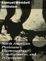 North American Plesiosaurs