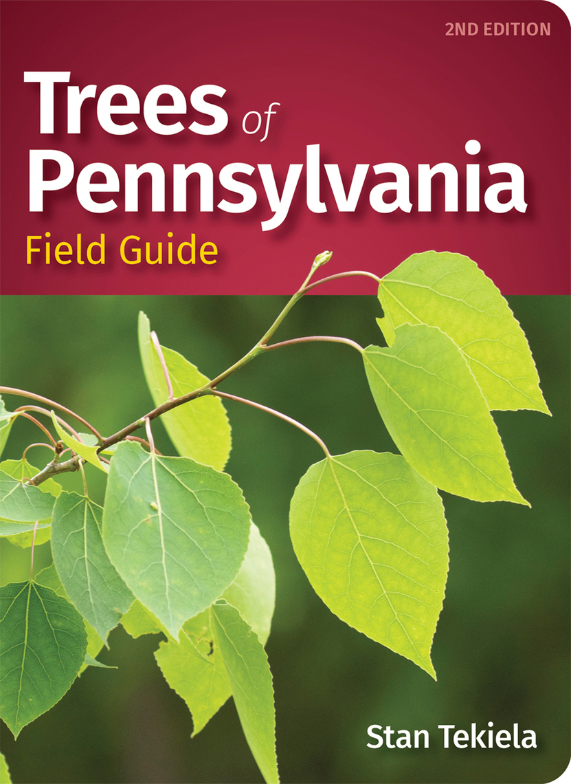 Trees of Pennsylvania Field Guide by Stan Tekiela (Ebook) - Read free for 30 days