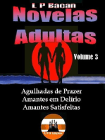 Novelas Adultas 3: Coletânea