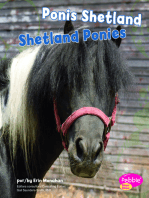 Ponis Shetland/Shetland Ponies