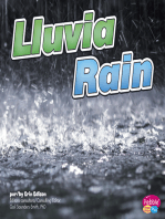 Lluvia/Rain