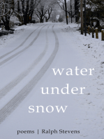 Water under Snow: Poems