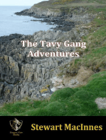 The Tavy Gang Adventures