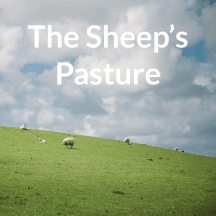 The Sheep’s Pasture