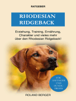 Rhodesian Ridgeback: Erziehung, Training, Charakter und vieles mehr über den Rhodesian Ridgeback
