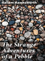 The Strange Adventures of a Pebble