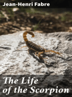 The Life of the Scorpion