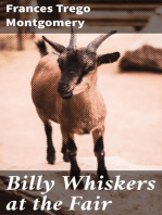 Billy Whiskers at the Fair