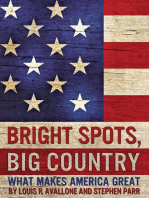 Bright Spots, Big Country: What Makes America Great